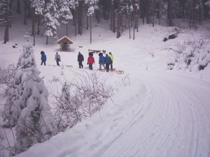 2004-01-10-ausflug-tt-bw-25
